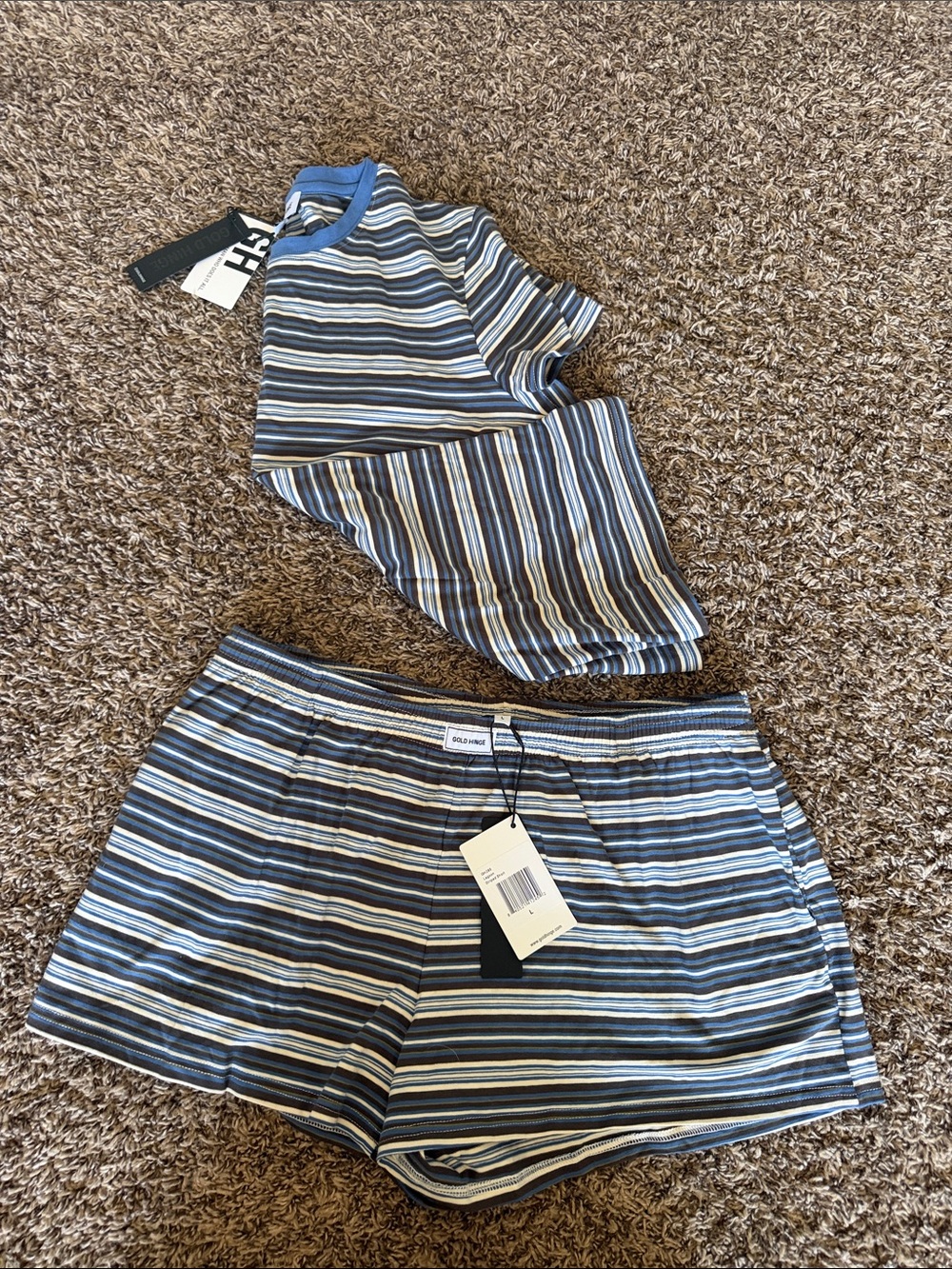 Gold Hinge Striped Blue and Gray Men's Hybrid Shorts